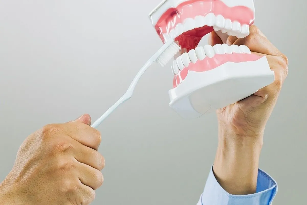 Cepillado de un modelo dental con cepillo suave, como en la limpieza diaria de una prótesis dental