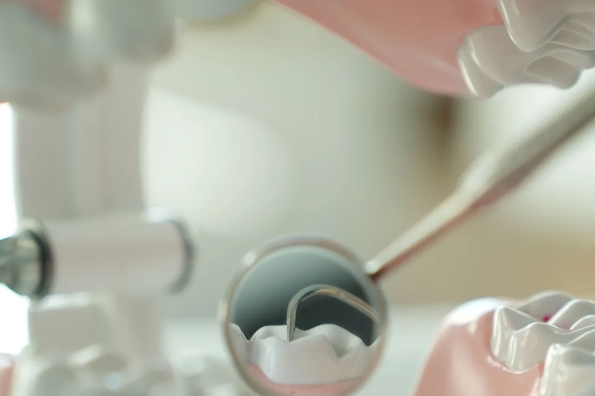 Espejo dental revisando los dientes y la encía rosa de una maqueta de arcada