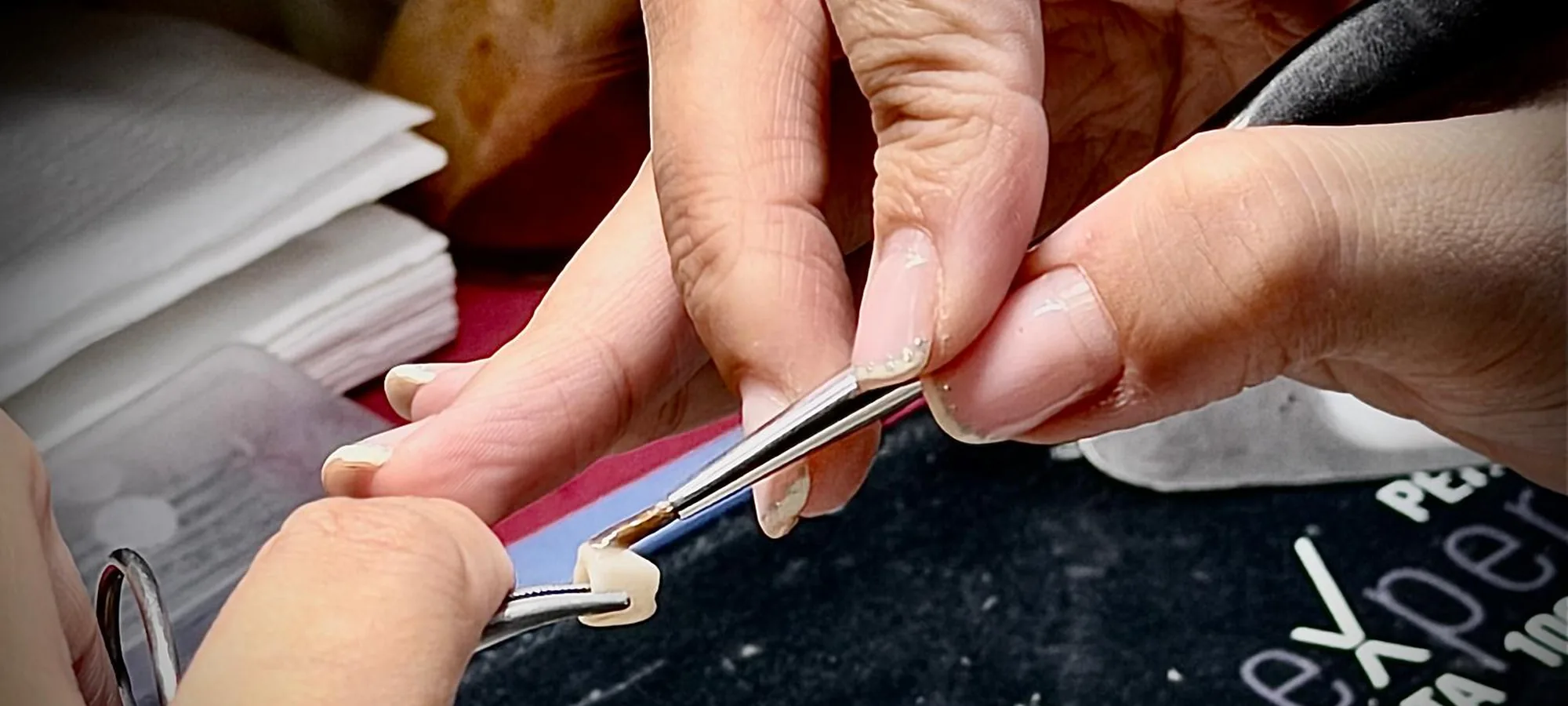 Mesa de trabajo del laboratorio de prótesis dental